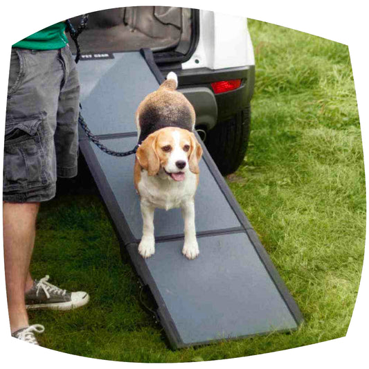 Lightweight Dog Ramp for Car – Tri-Fold & Portable