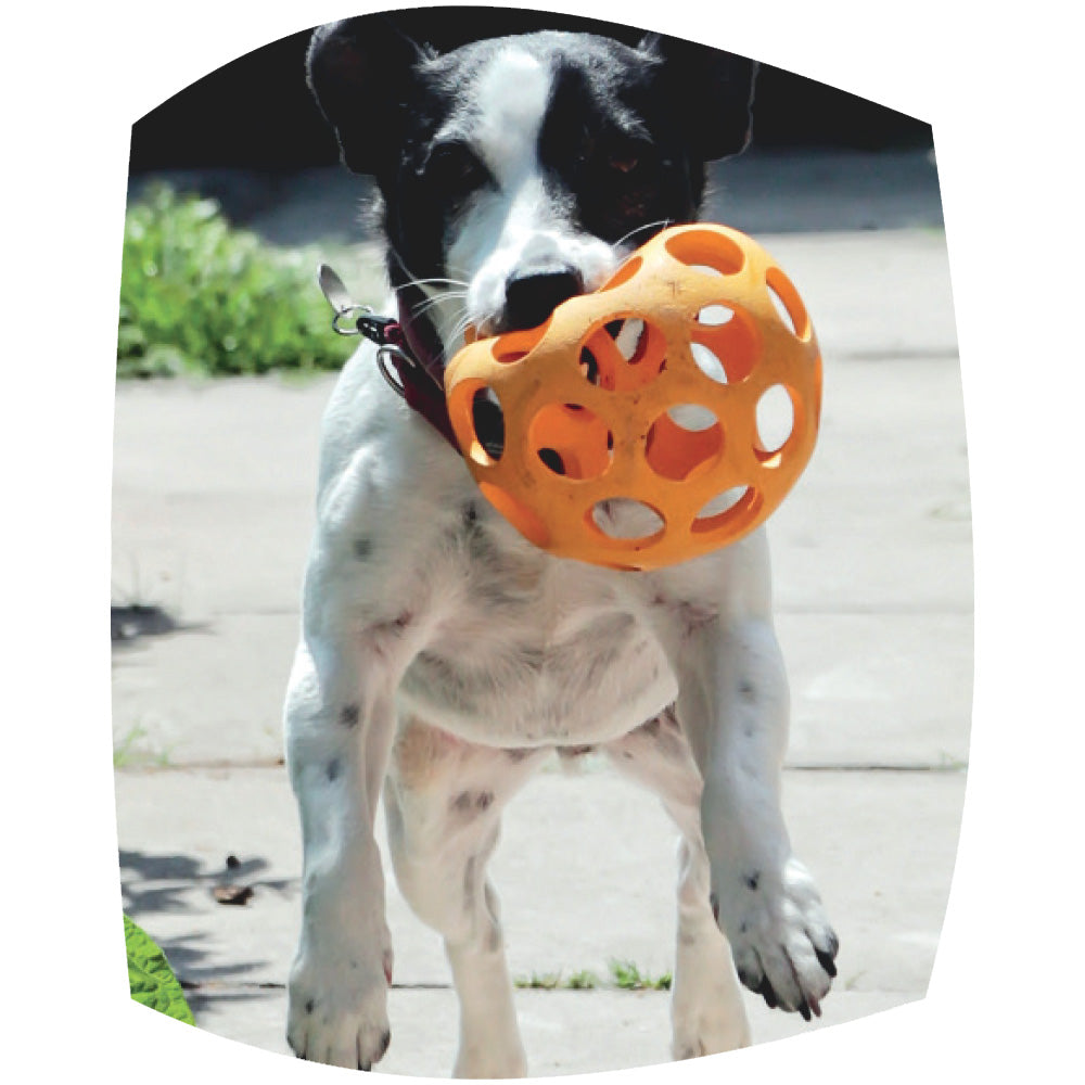 Rubber lattice rugby ball