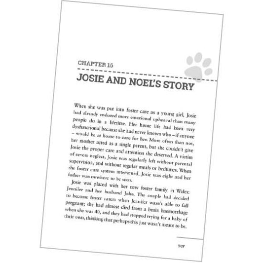 My rescue dog rescued me book