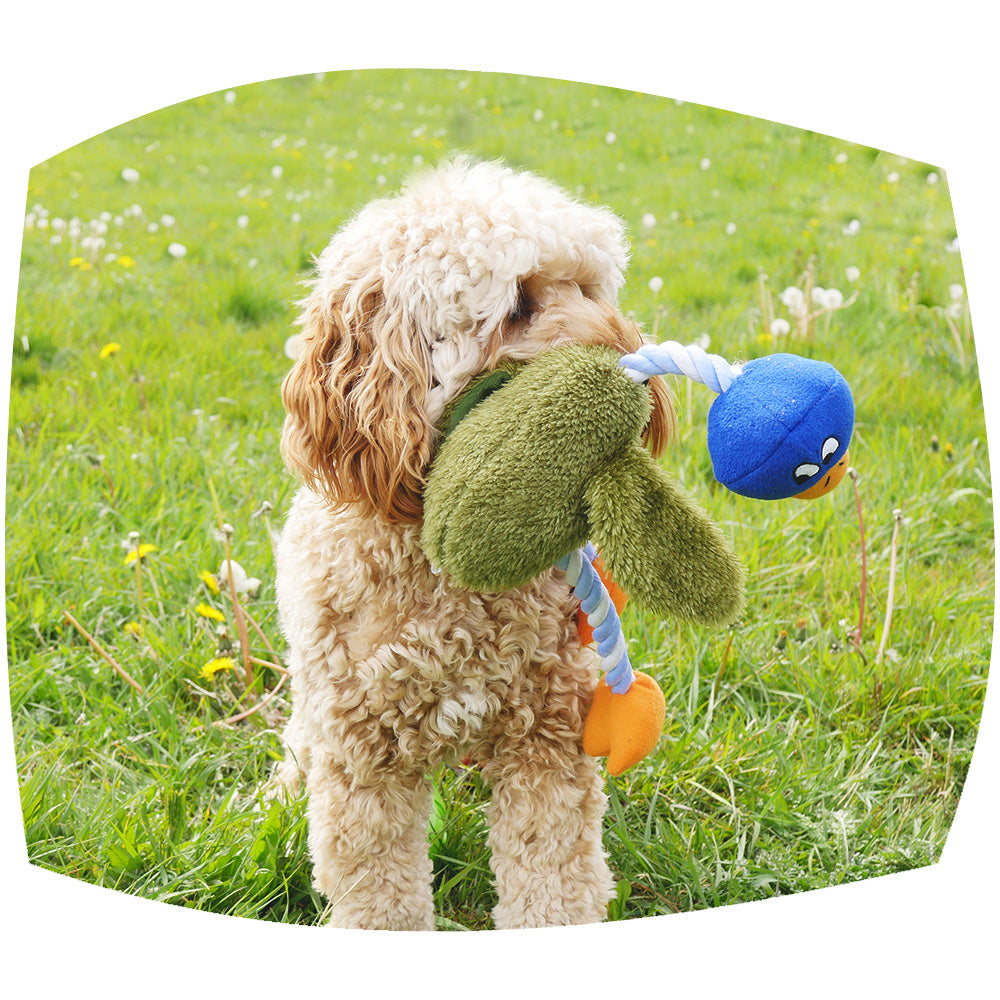 Delia duck dog toy