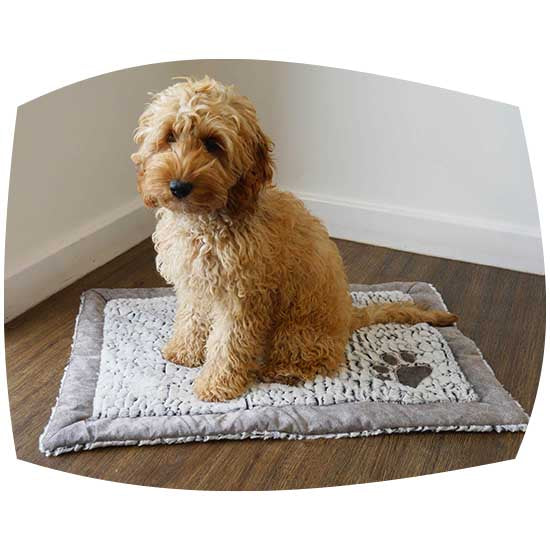 Luxury fleece lined plush blanket