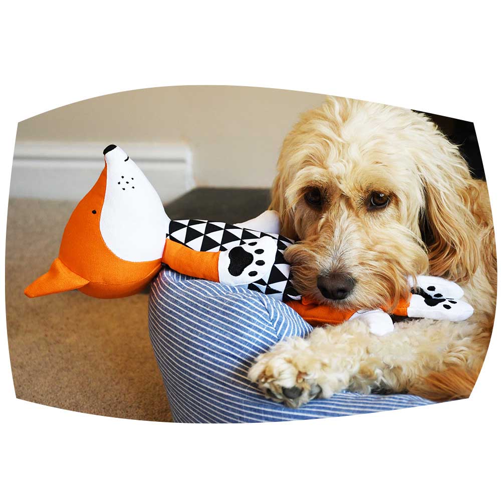 Mr Fox dog toy