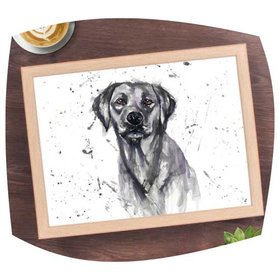 Man's best friend lap tray - black labrador