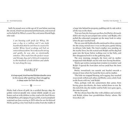 Wonder dogs book