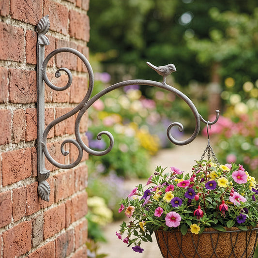 Little birdie hanging basket bracket
