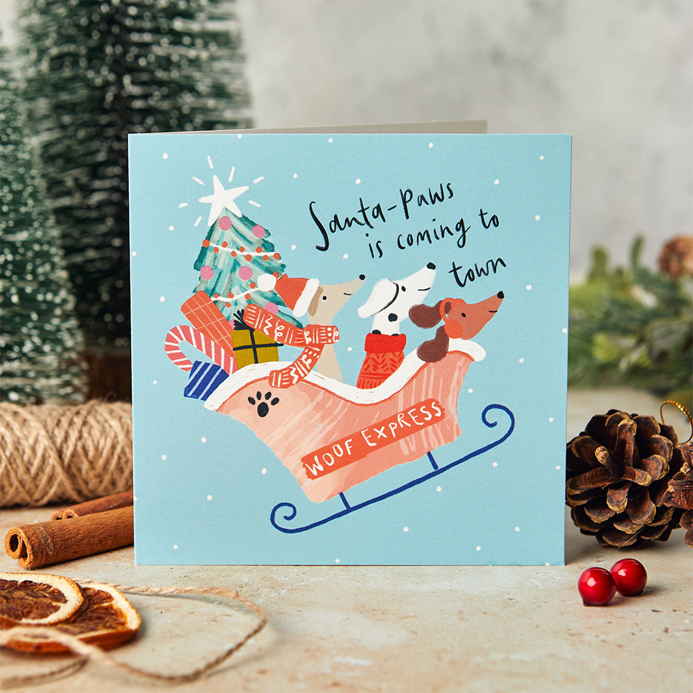 Santa Paws Sleigh Christmas Cards