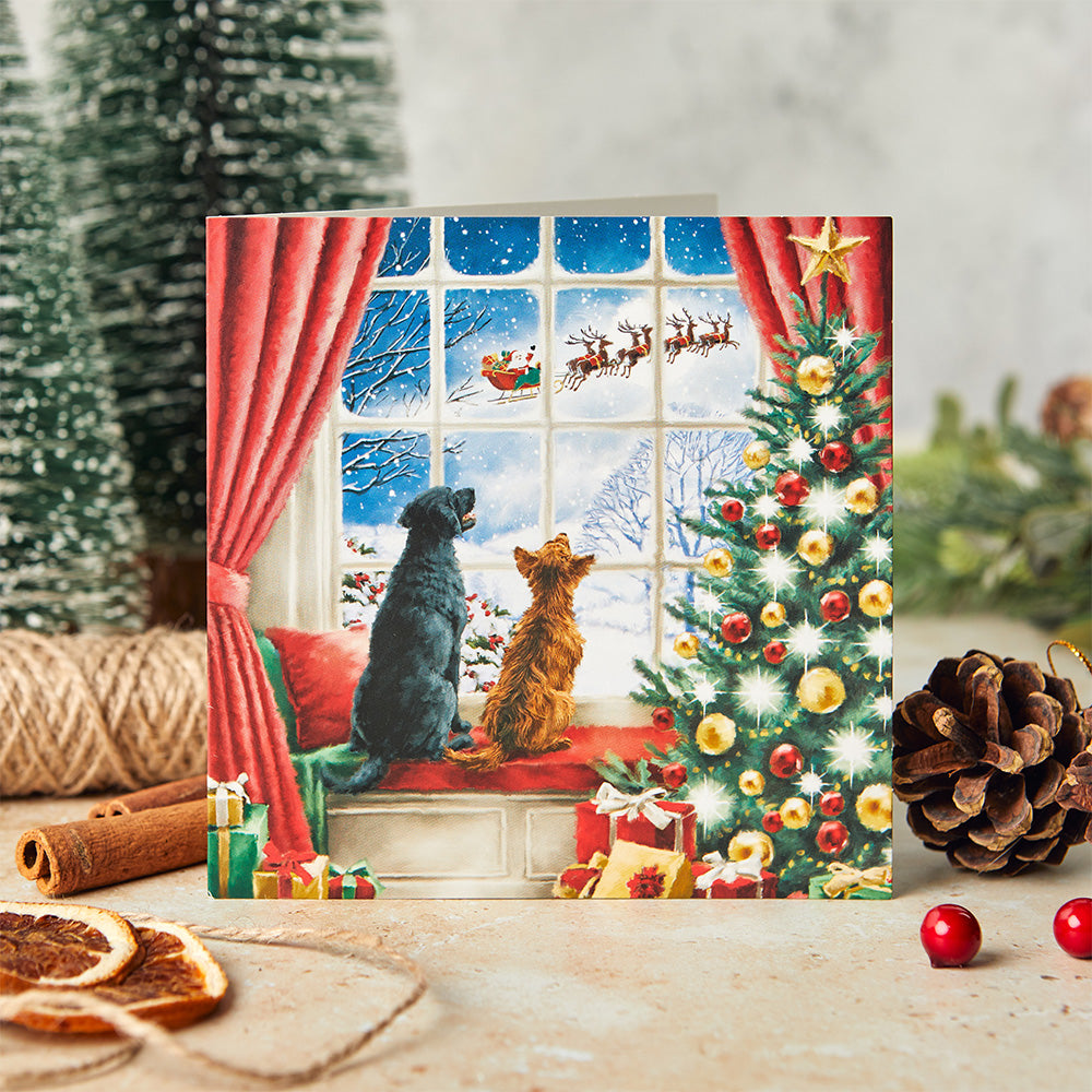 Christmas Eve Delight Christmas Cards