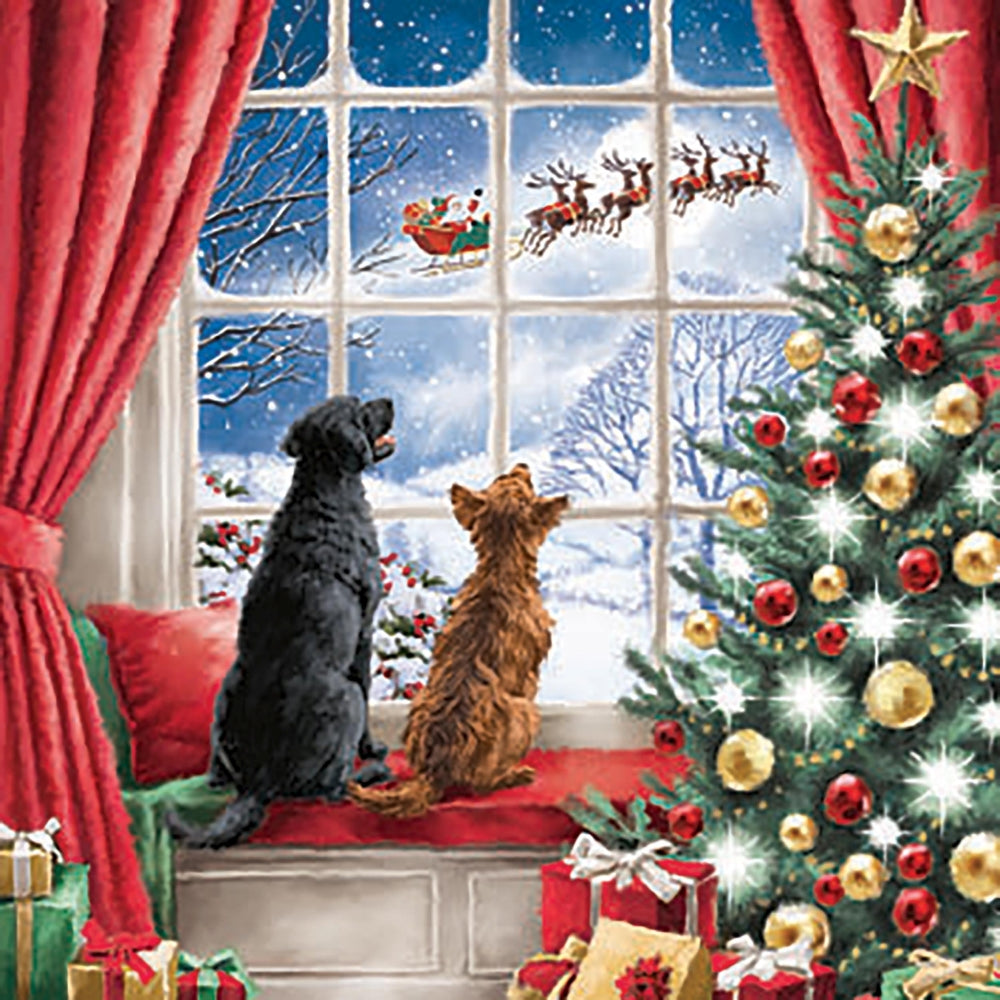 Christmas Eve Delight Christmas Cards