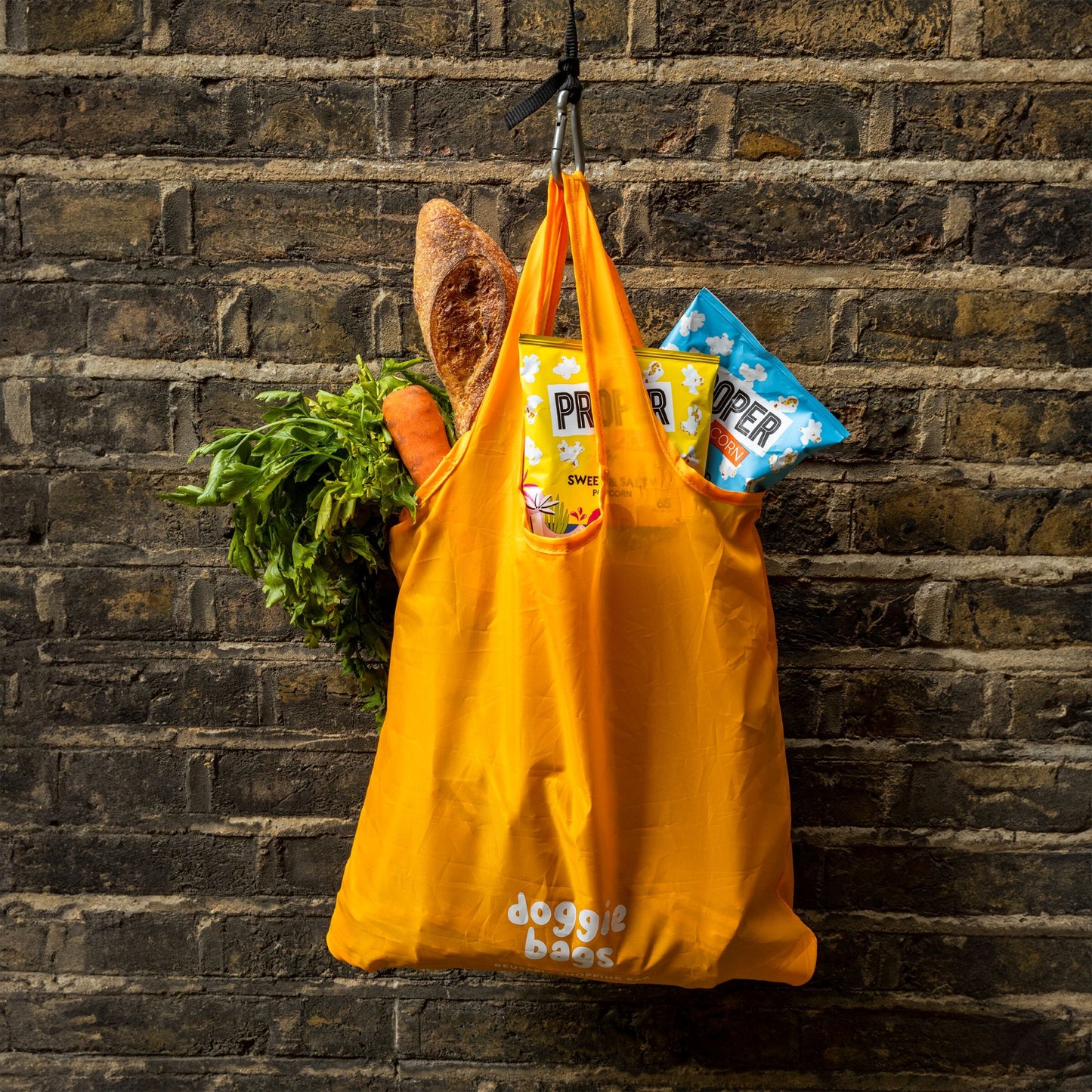 Doggy shopping bag
