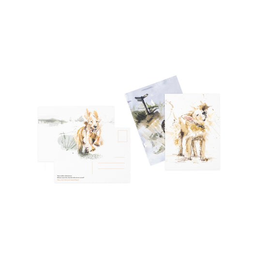 For the love of dogs postcards