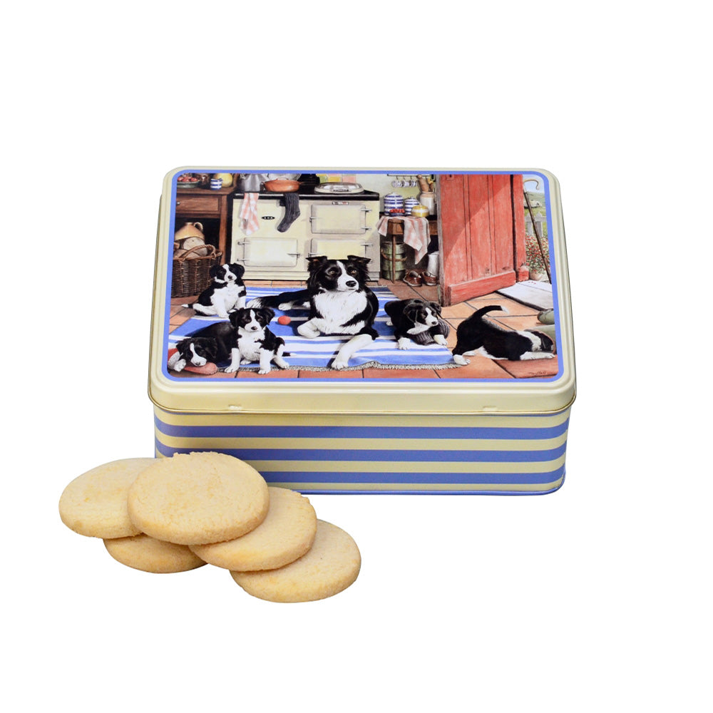 Border Collies biscuit tin