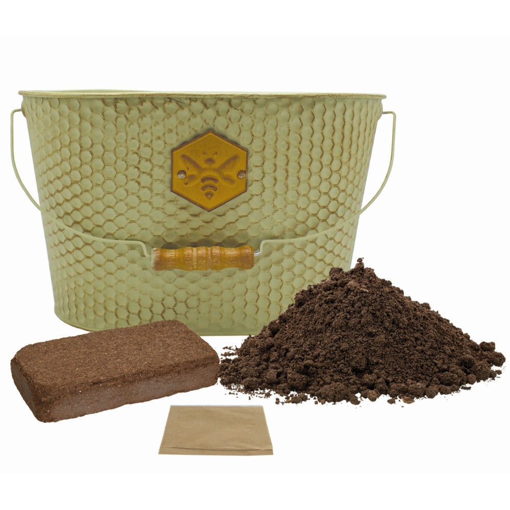 Honeycomb wildflower trough