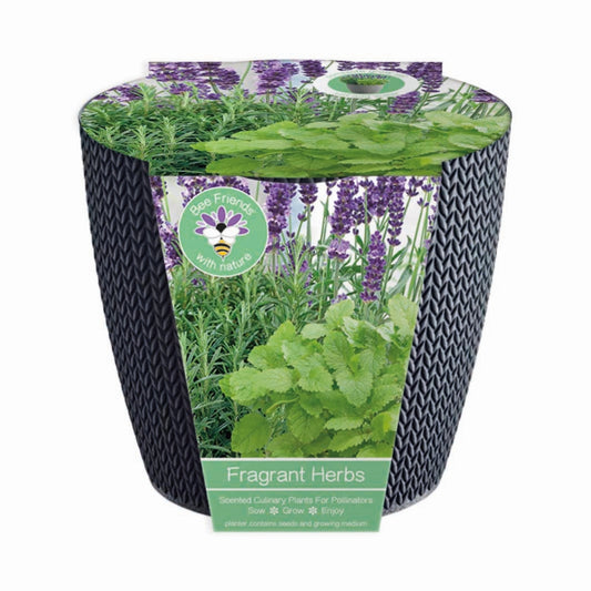 Fragrant herbs grow set
