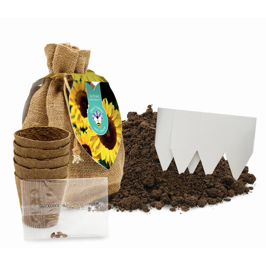 Sunflower seed starter set