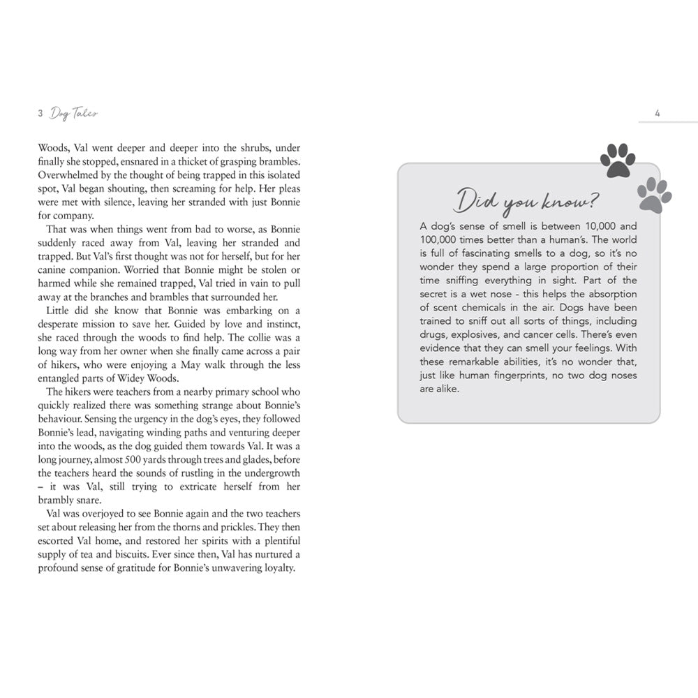 Dog tales book