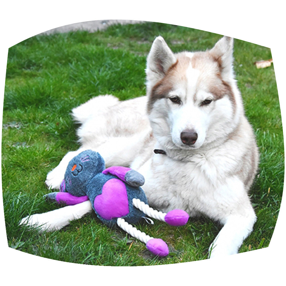 Ruby rabbit dog toy