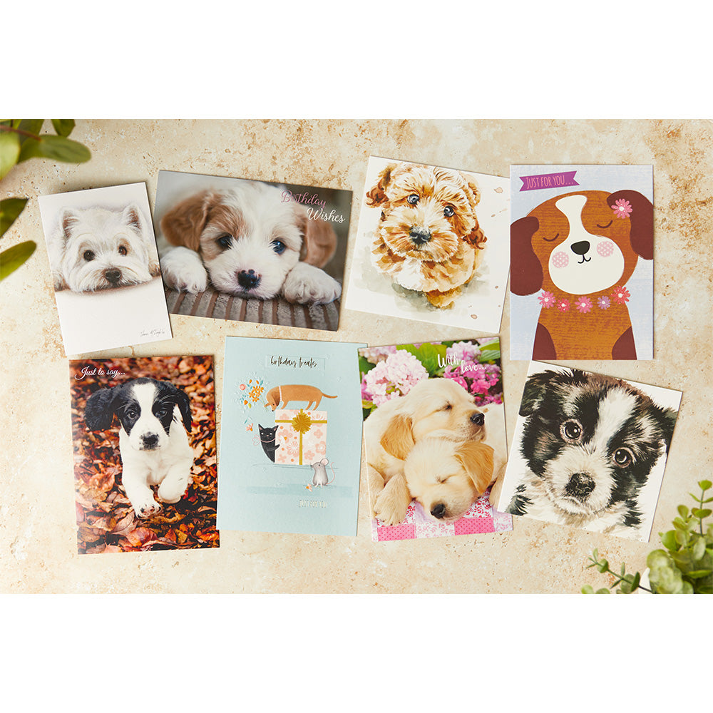 Dog greeting card pack