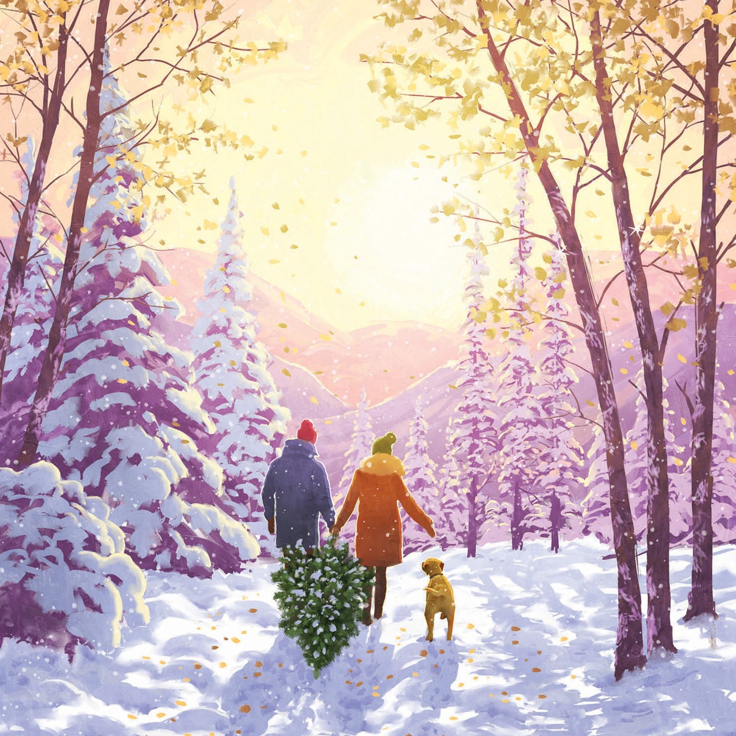 Bringing home the tree Christmas cards