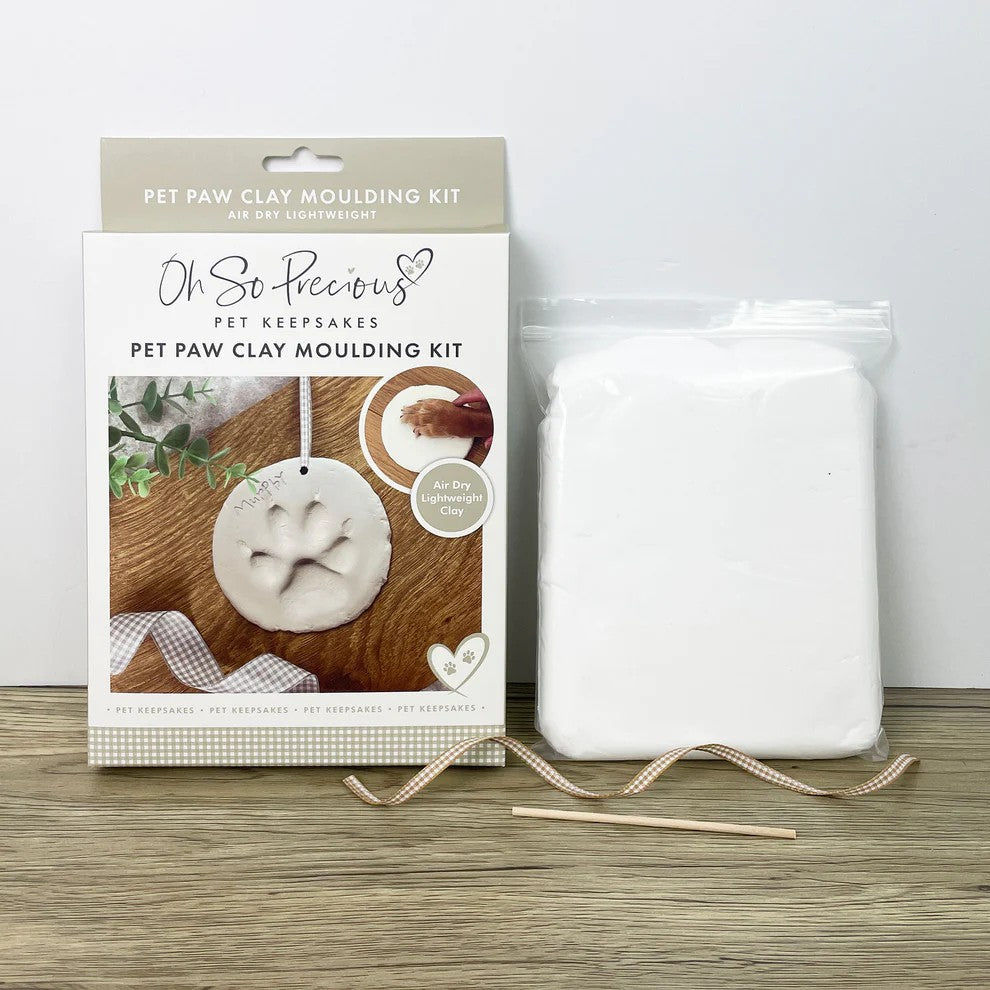 Pet paw clay moulding kit
