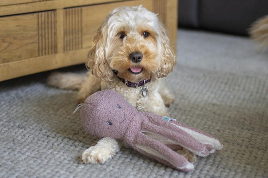 Tufflove octopus dog toy