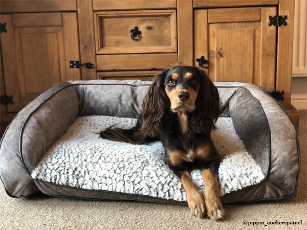 Grey luxury plush dog sofa
