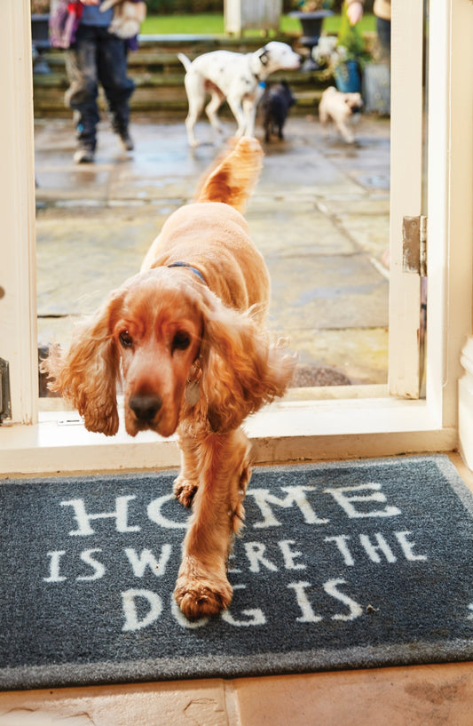 Home is where the dog is mat