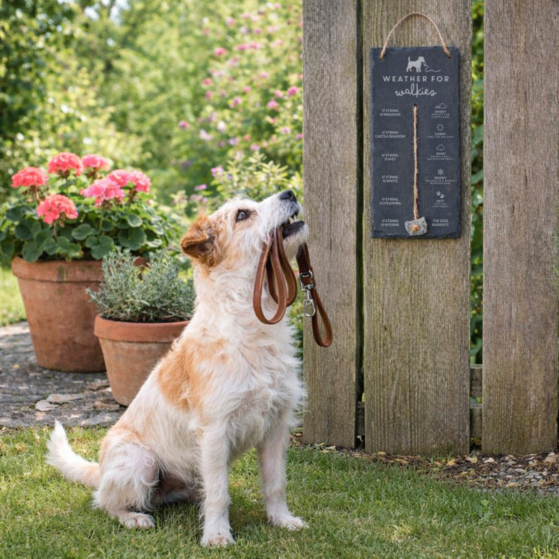 Weather for walkies slate sign