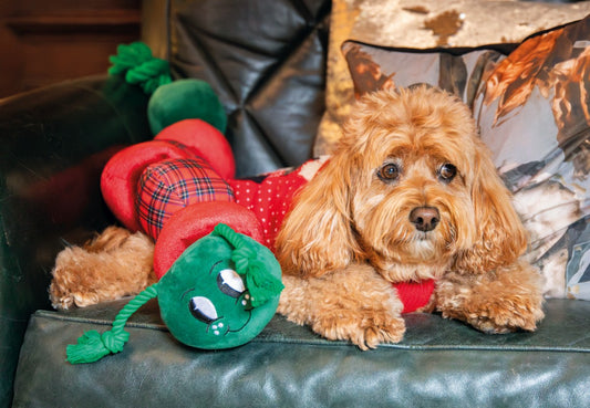 Jumbo Casper caterpillar dog toy