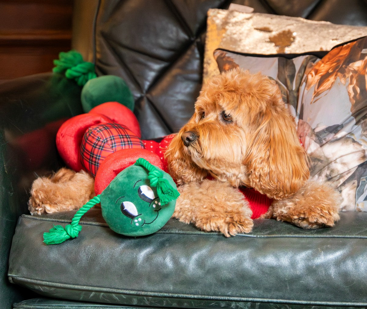 Jumbo Casper caterpillar dog toy