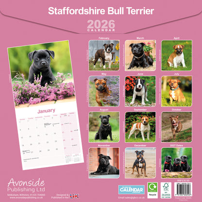 Staffordshire Bull Terrier wall calendar 2026