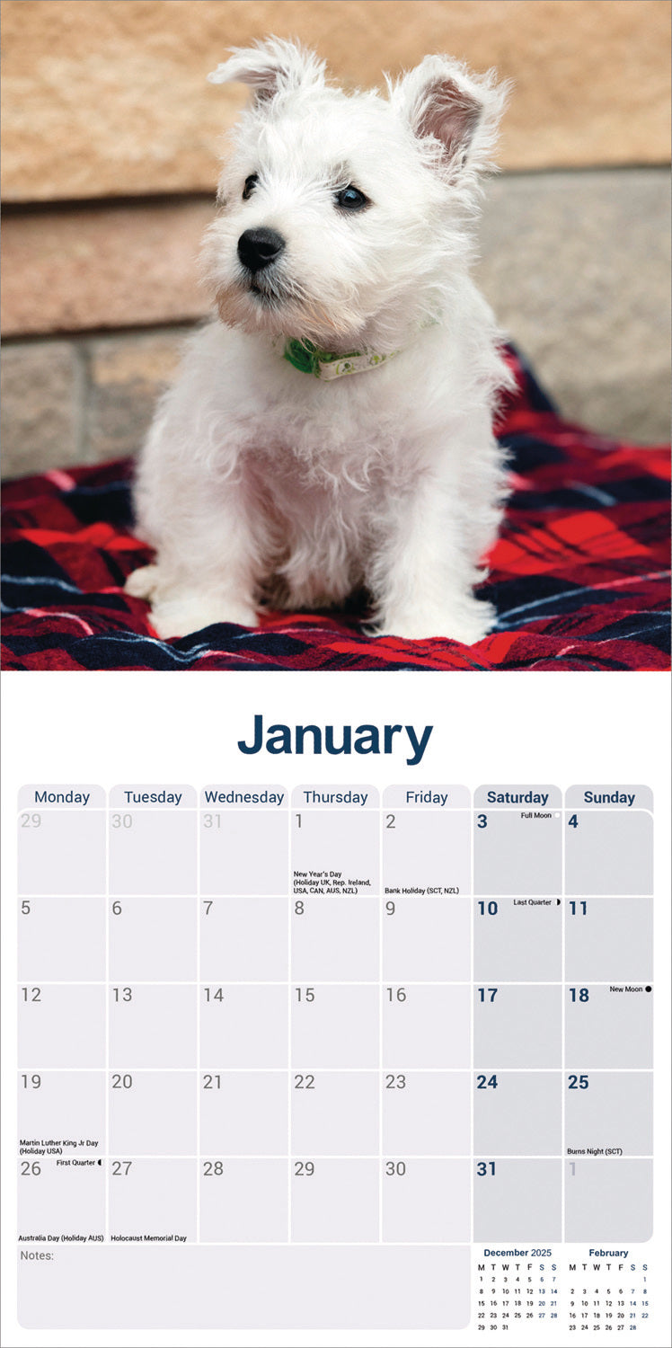 West Highland White Terrier wall calendar 2026