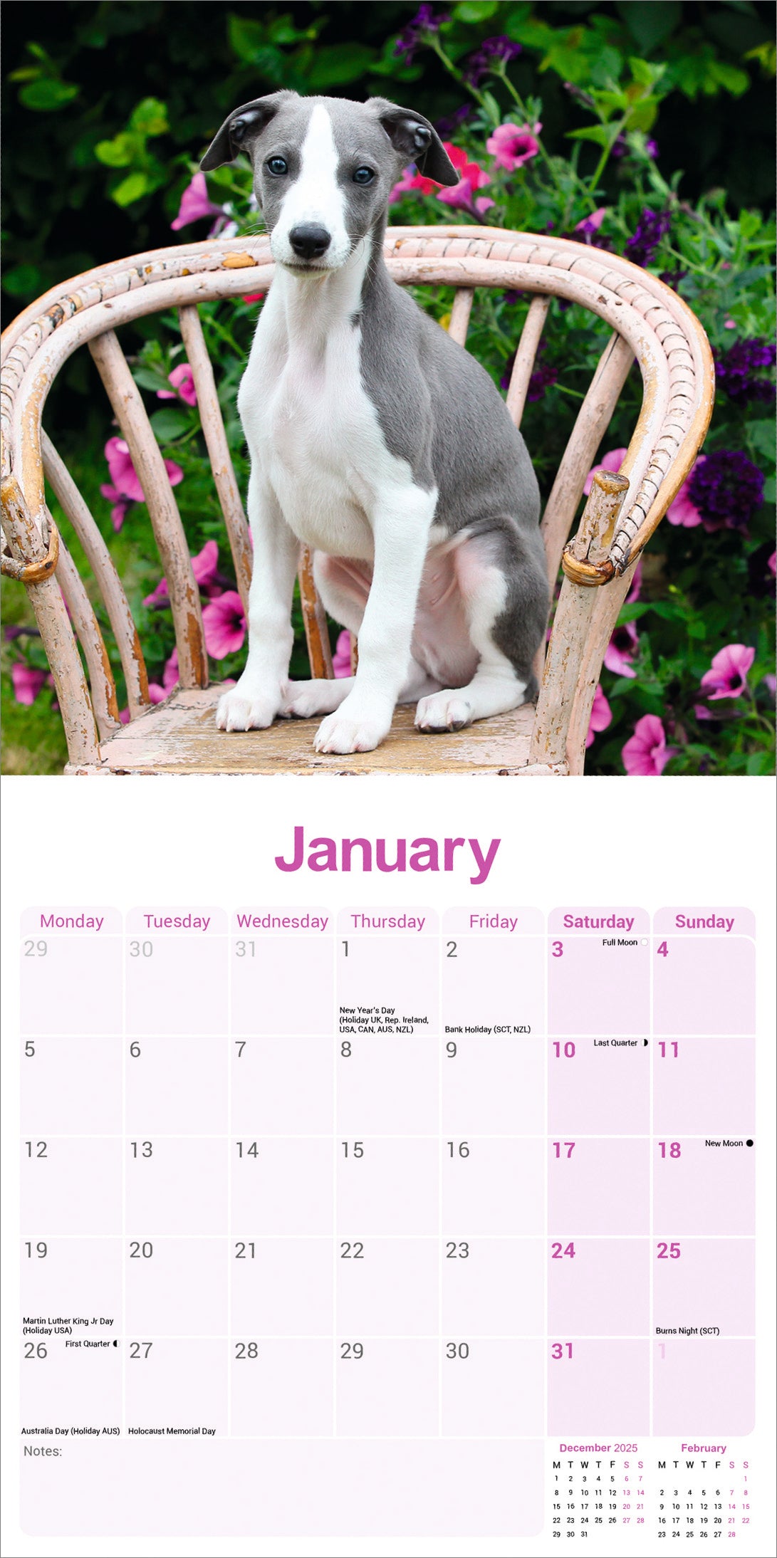 Whippet wall calendar 2026