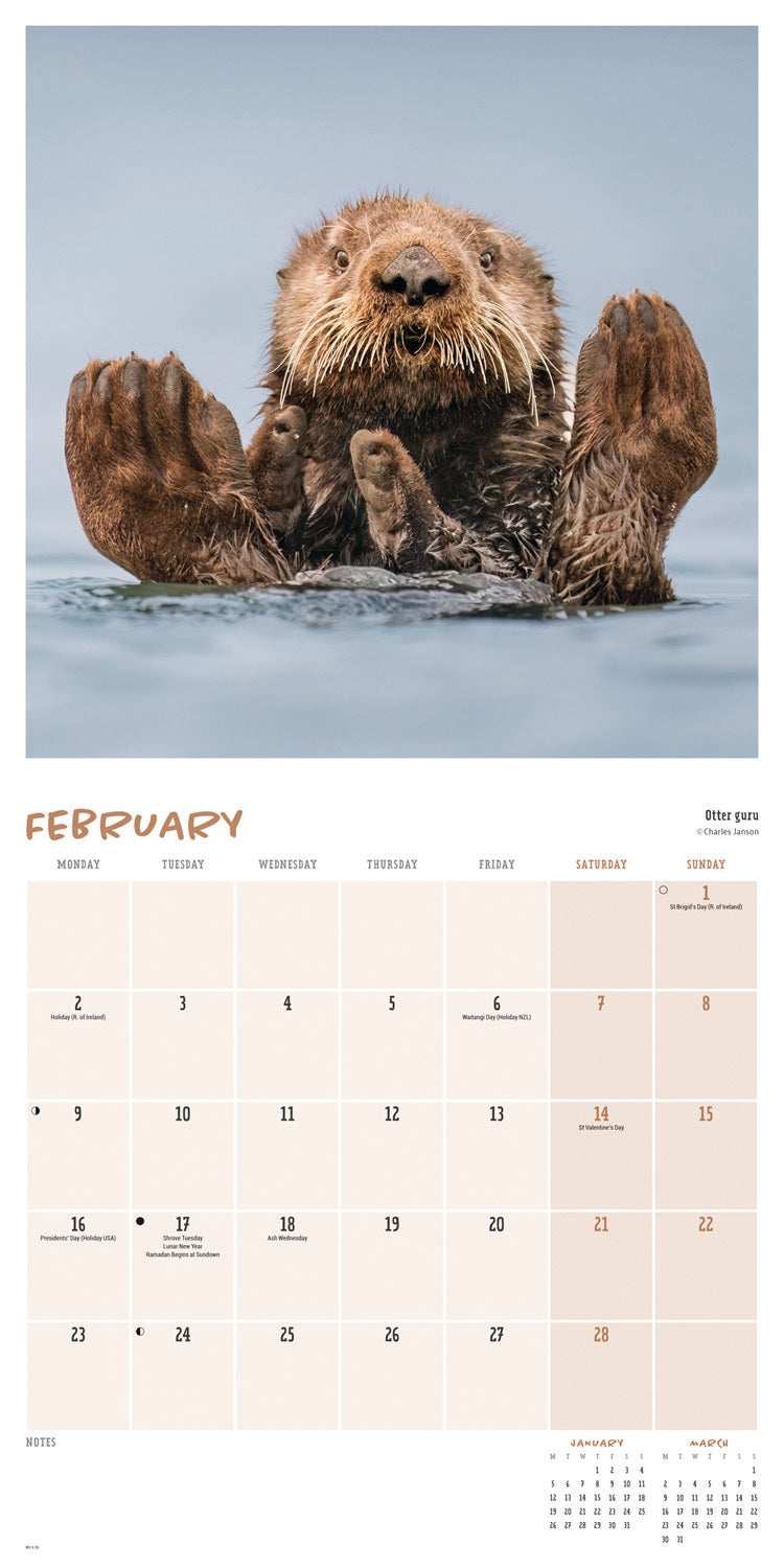 Comedy Wildlife Photo Awards wall calendar 2026