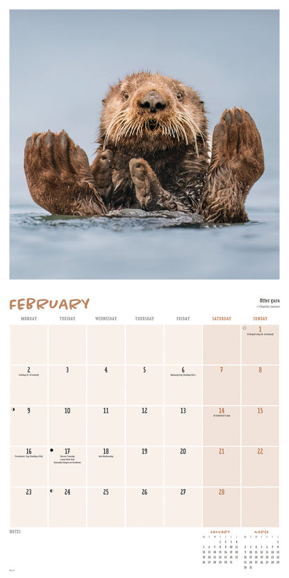 Comedy Wildlife Photo Awards wall calendar 2026