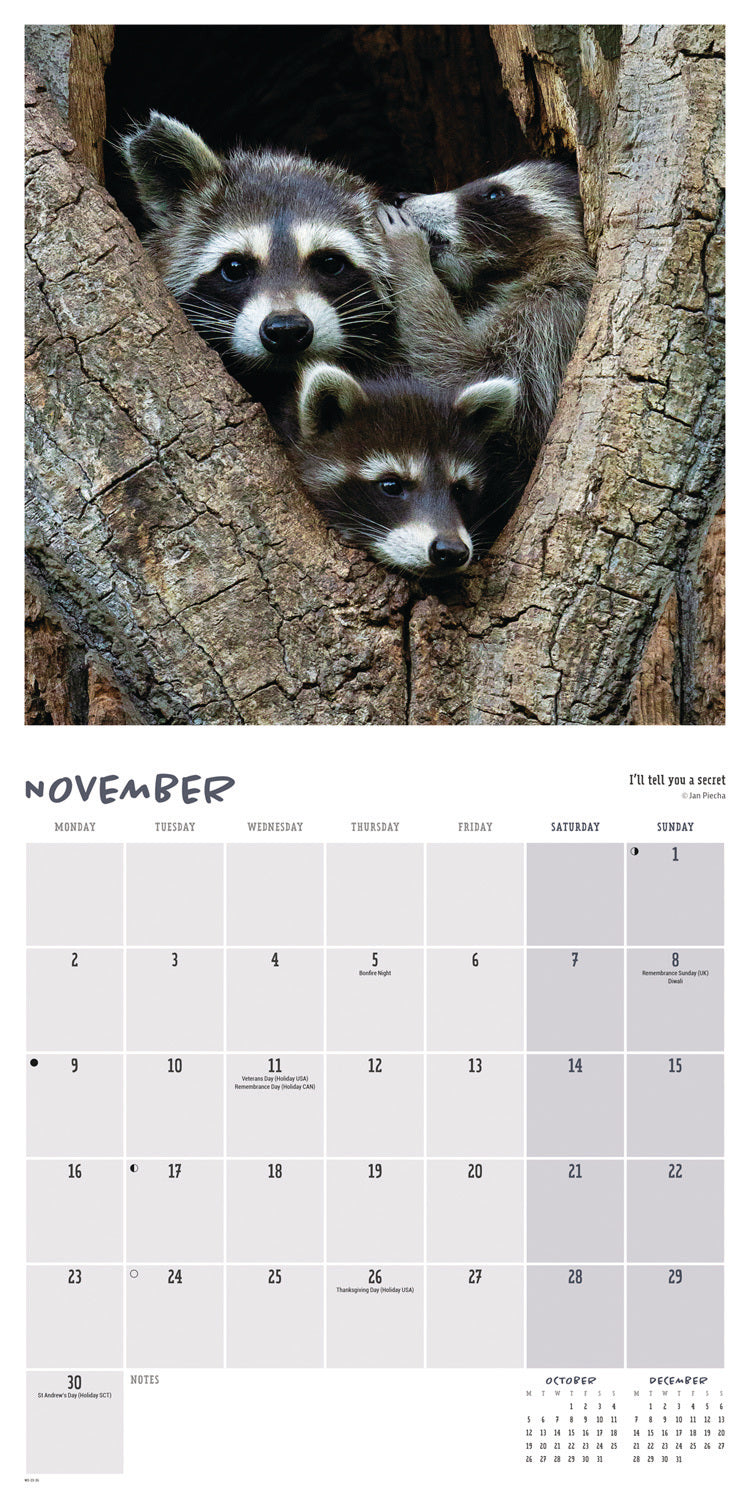 Comedy Wildlife Photo Awards wall calendar 2026