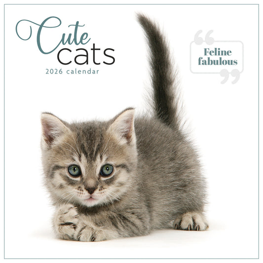 Cute Cats wall calendar 2026