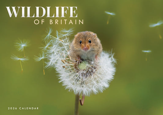 Wildlife of Britain A4 calendar 2026