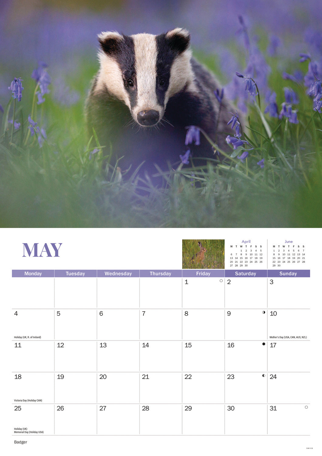 Wildlife of Britain A4 calendar 2026