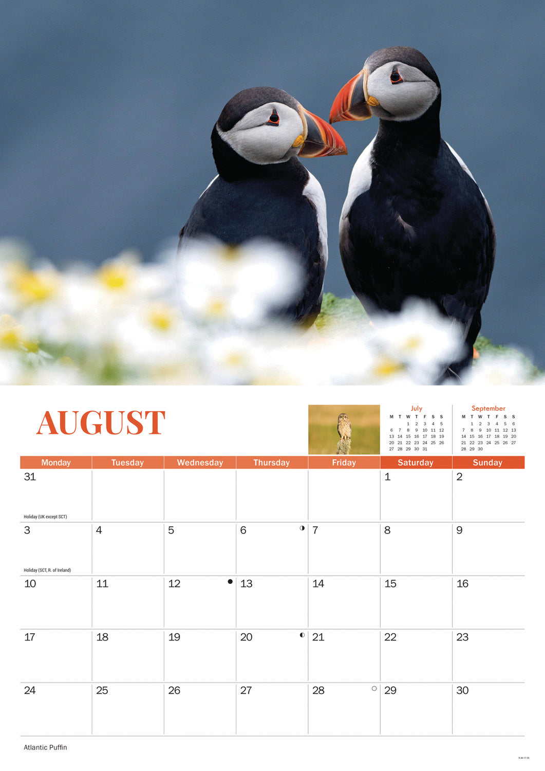 Wildlife of Britain A4 calendar 2026