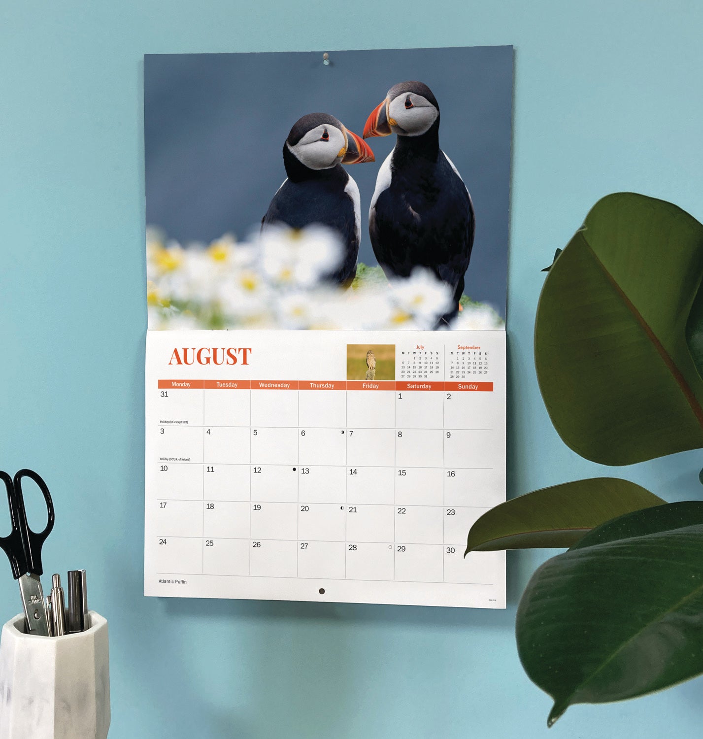 Wildlife of Britain A4 calendar 2026