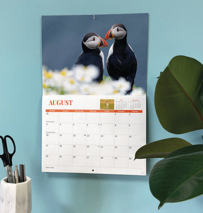 Wildlife of Britain A4 calendar 2026