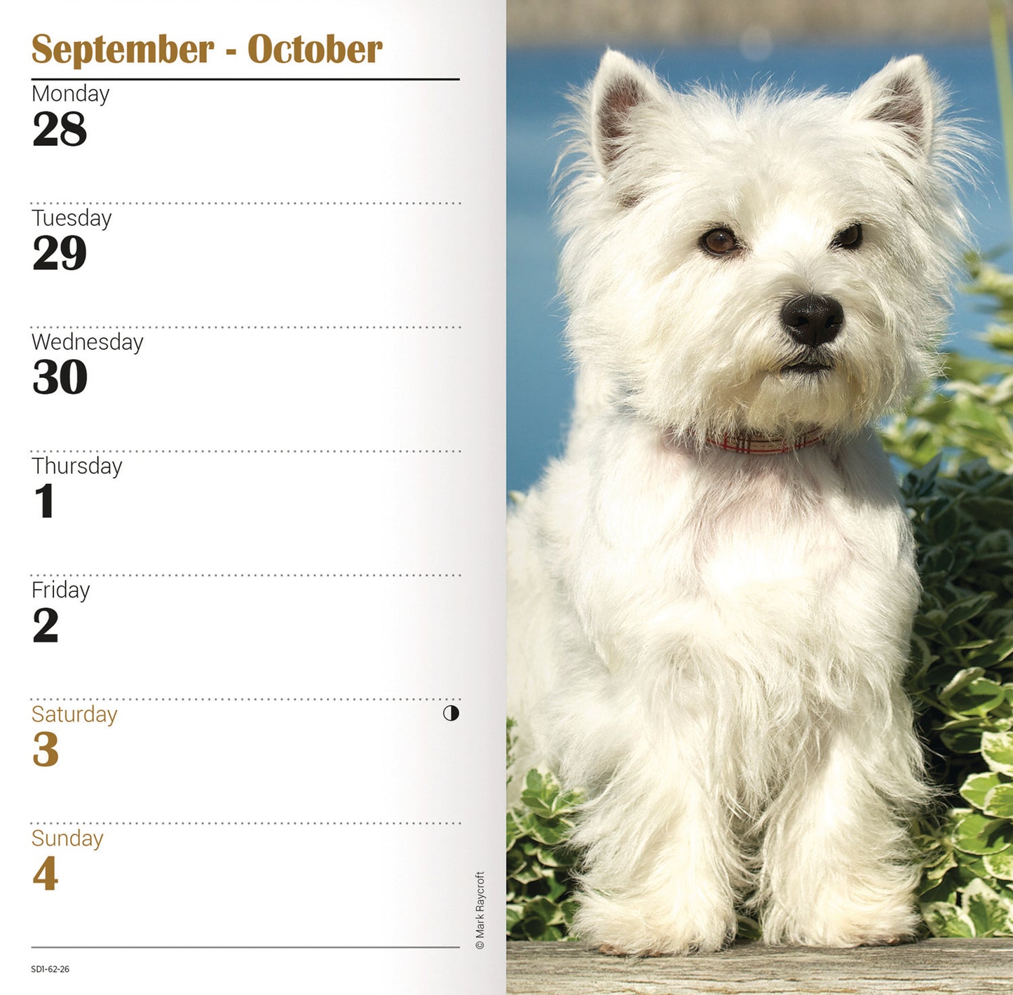 West Highland White Terrier Slim Diary 2026