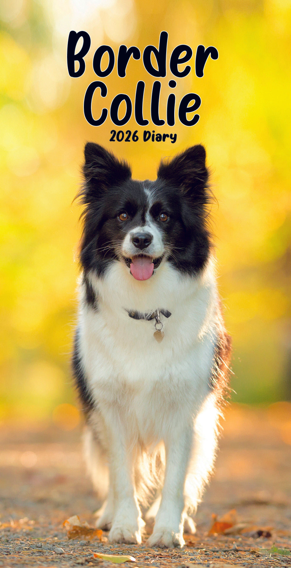 Border Collie Slim Diary 2026