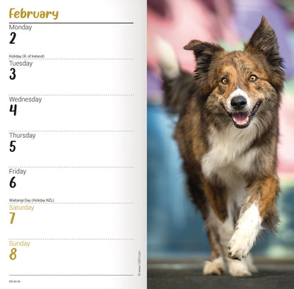 Border Collie Slim Diary 2026