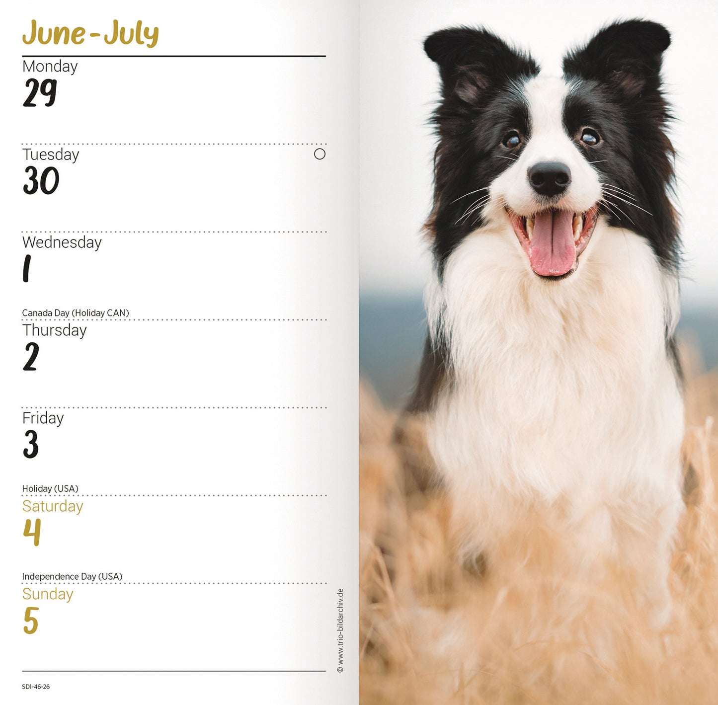 Border Collie Slim Diary 2026