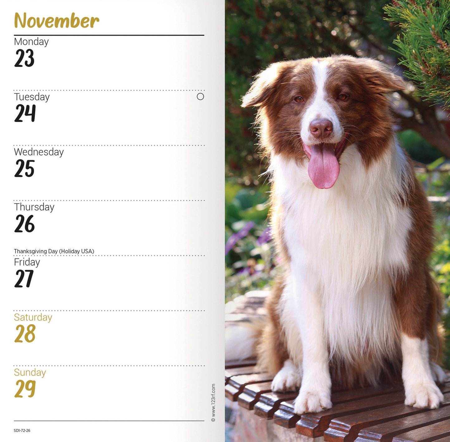 Border Collie Slim Diary 2026