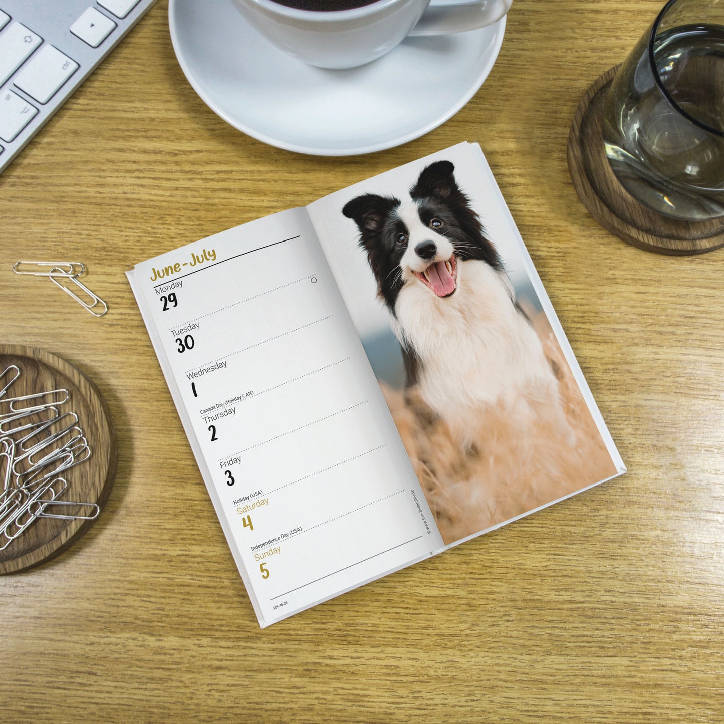 Border Collie Slim Diary 2026