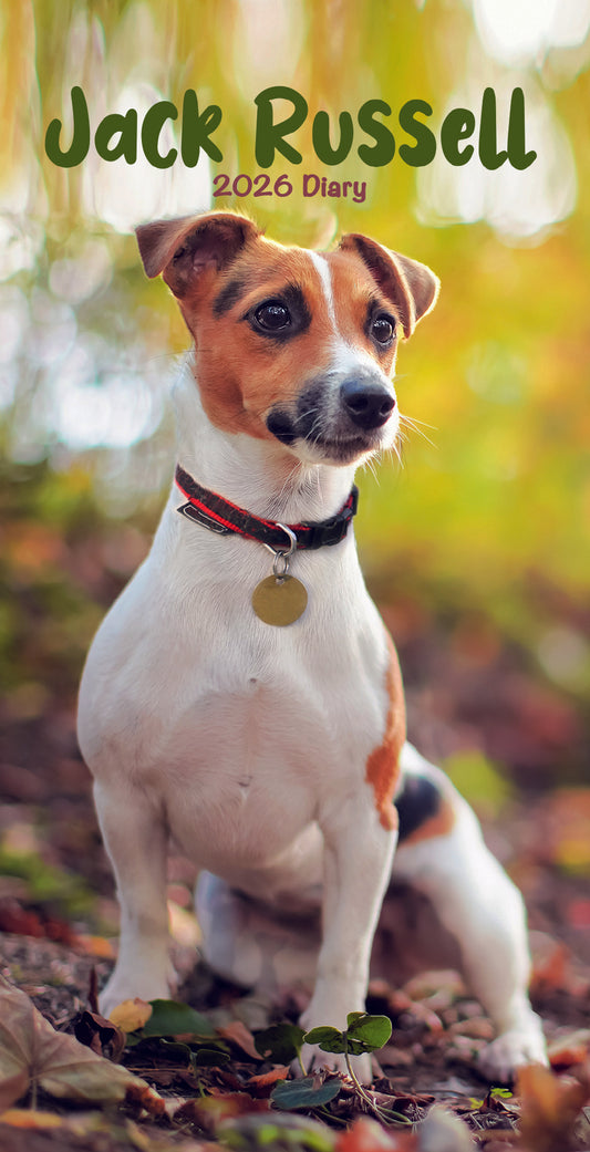 Jack Russell Slim Diary 2026