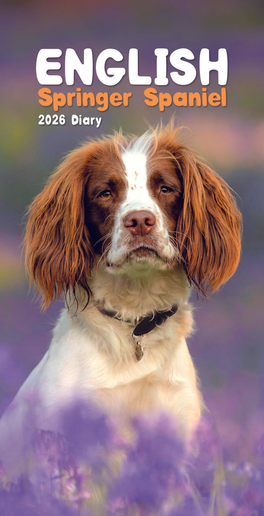 English Springer Spaniel Slim Diary 2026