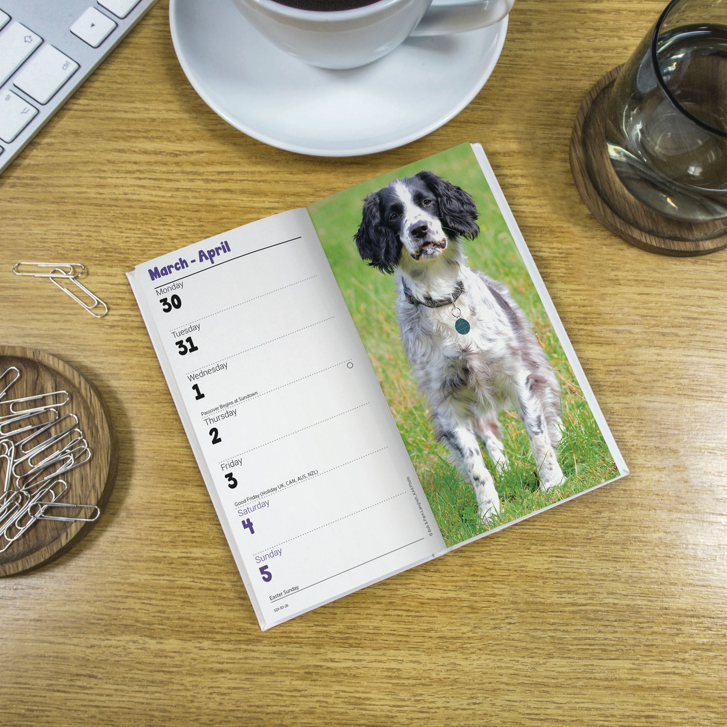 English Springer Spaniel Slim Diary 2026